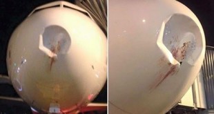 Phần đầu máy bay sau khi gặp tai nạn