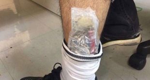 Lô hàng chục đồng hồ Thuỵ Sỹ trong ống quần nam hành khách tên là L.D.T.