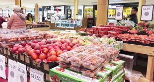 Cước vận chuyển hàng không cao khiến trái cây VN khó cạnh tranh ở thị trường nước ngoài